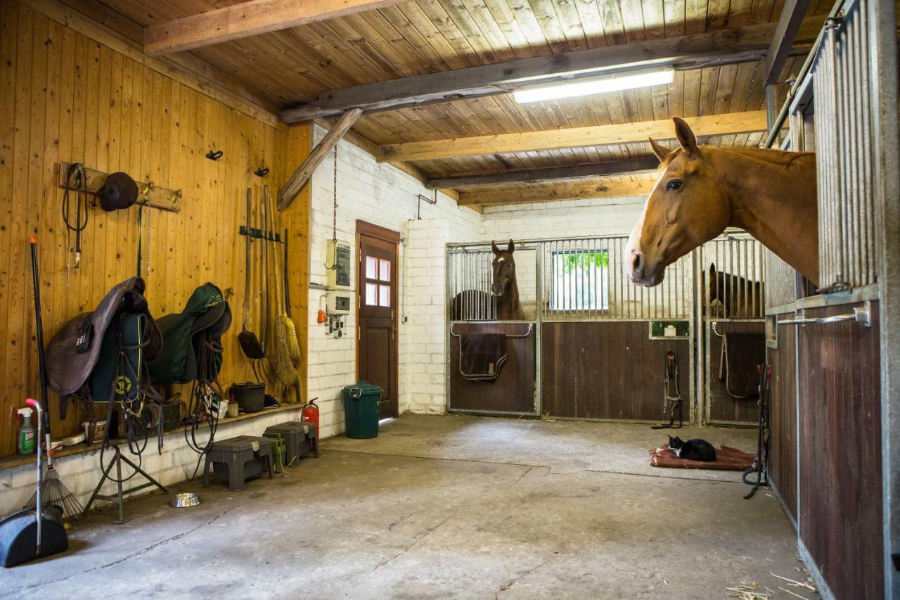 Davidshof, Bed & Breakfast Schneverdingen Buitenkant foto